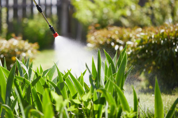 24/7 Emergency Mosquito Control experts in Citrus Springs, FL