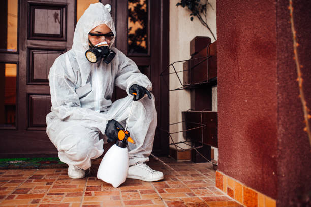 Reliable Mosquito Control contractor in Citrus Springs, FL by Show Me Pest Control